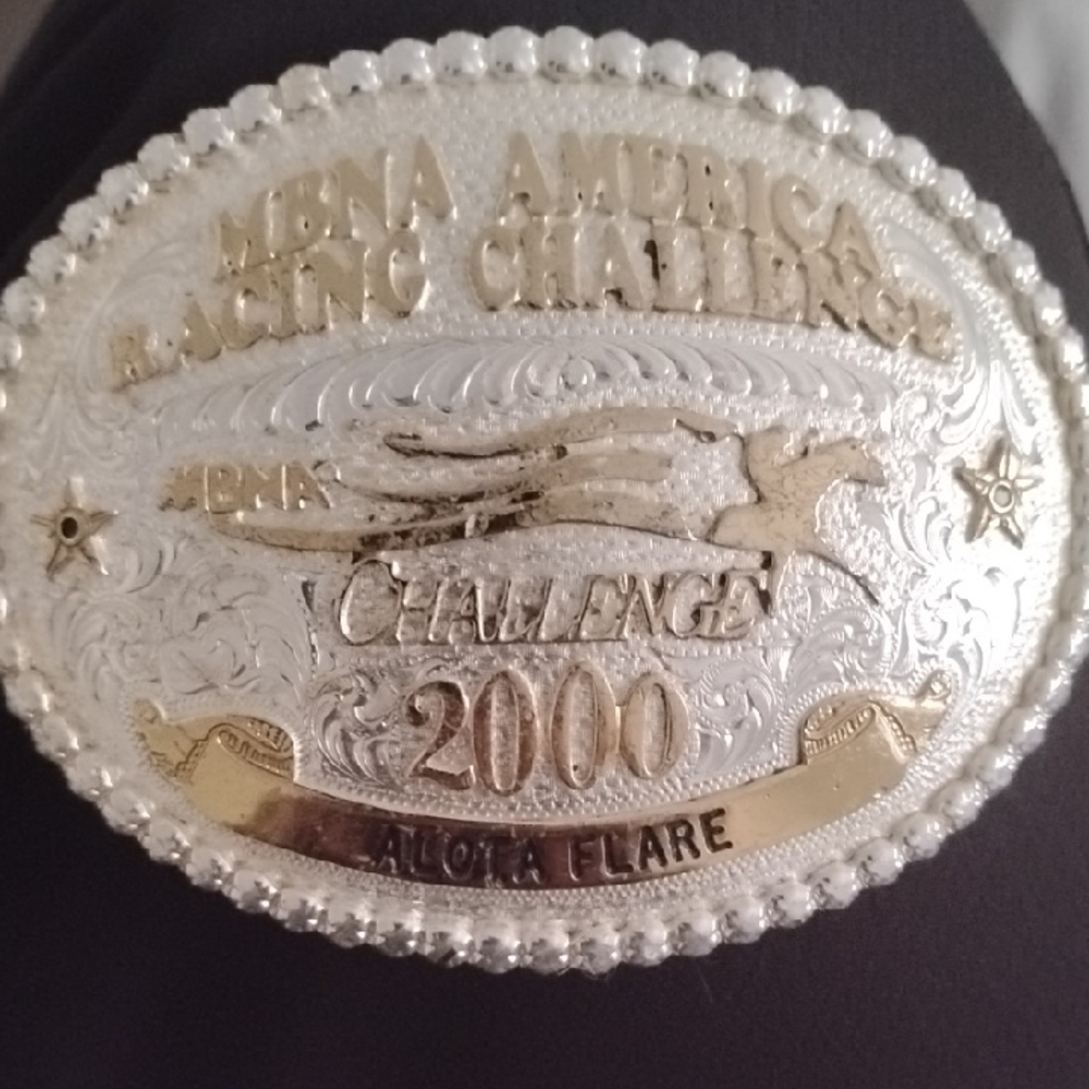 Montana Silversmiths Silver and Gold Belt Buckle